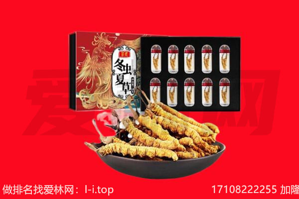 凤城市回收虫草.jpg